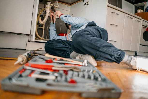Best Plumbing Services Near Me  in Romulus, MI