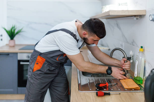 Best Emergency Plumber  in Romulus, MI