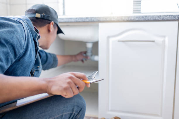 Best Plumbing Repair Near Me  in Romulus, MI