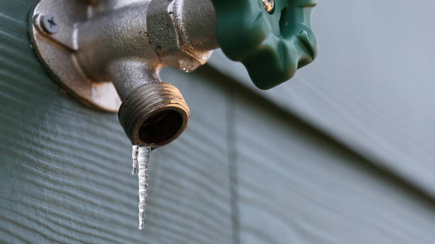 Best Residential Plumbing Services  in Romulus, MI