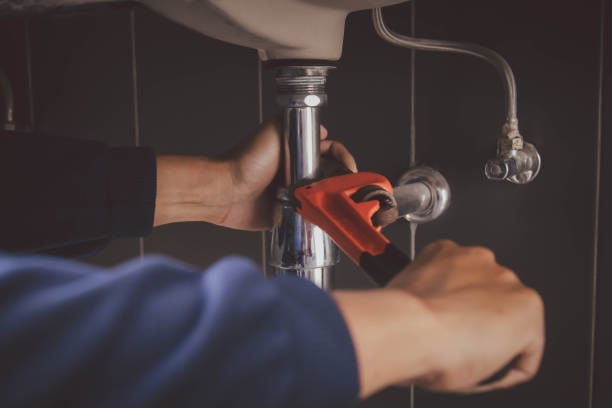 Best Commercial Plumbing Services  in Romulus, MI