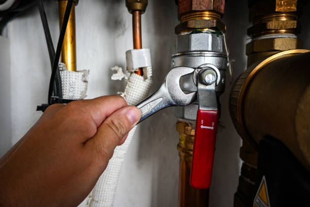 Best Sewer Line Repair  in Romulus, MI